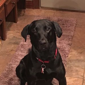 Meet your Posher, Brenda