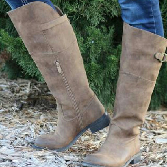 Volatile Carmi Riding Brown - Picture 2 of 4