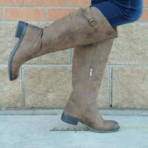 Volatile Carmi Riding Brown - Picture 3 of 4