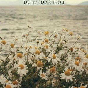 Meet your Posher, Christen