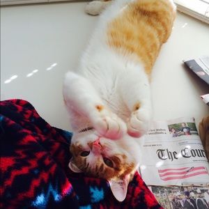 Meet your Posher, Anna