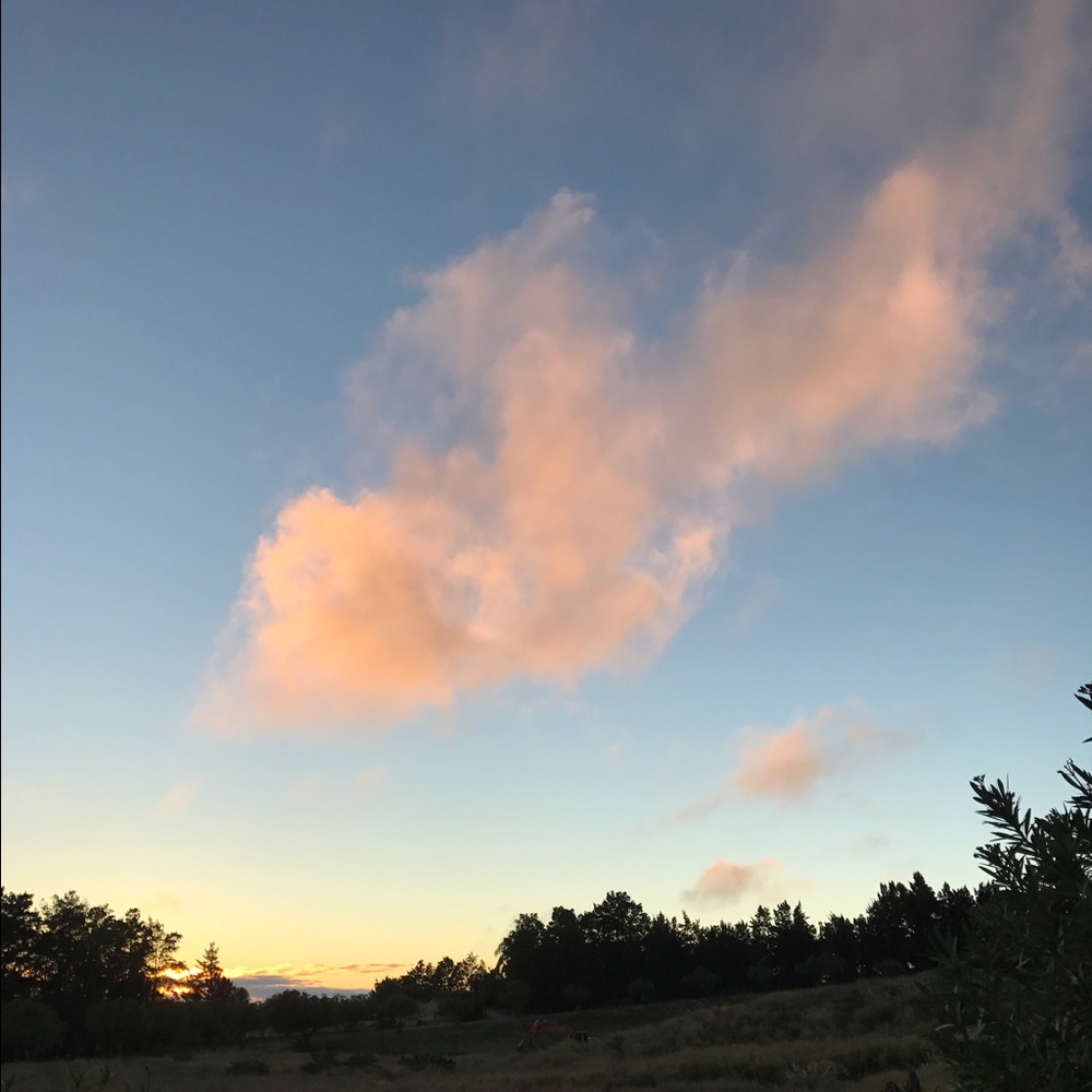 Meet your Posher, Charlotte