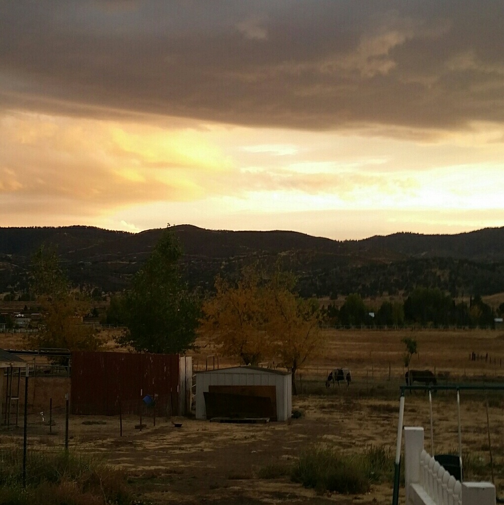 Meet your Posher, Brittney