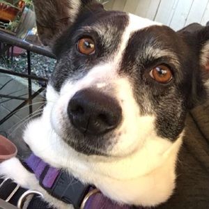 Meet your Posher, Yvette