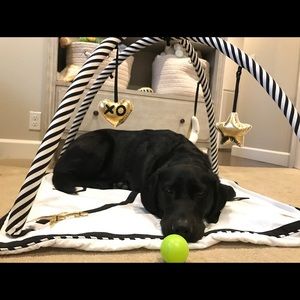 Meet your Posher, Brittni