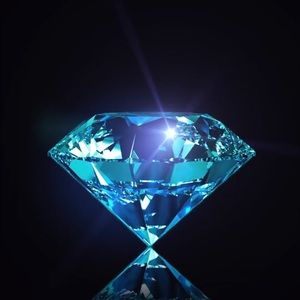 Meet your Posher, Shaunai