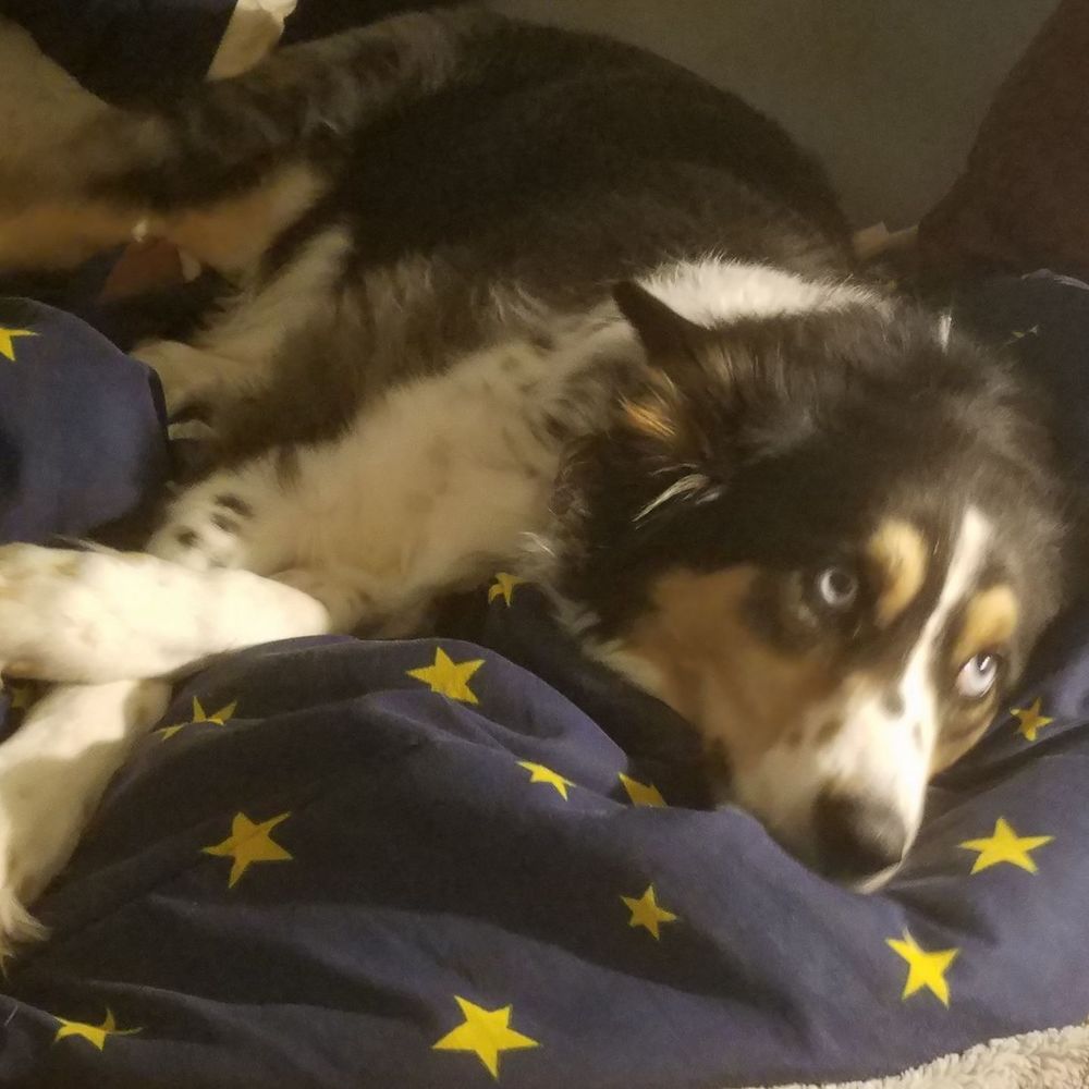 Meet your Posher, Debra