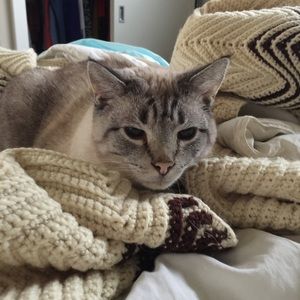 Meet your Posher, Frances