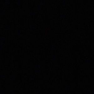 Meet your Posher, Audie