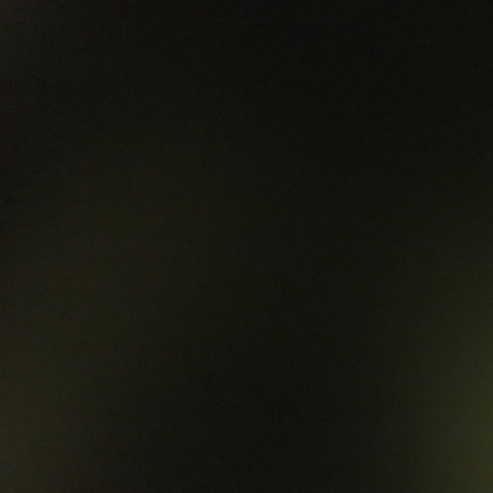 Meet your Posher, Liz