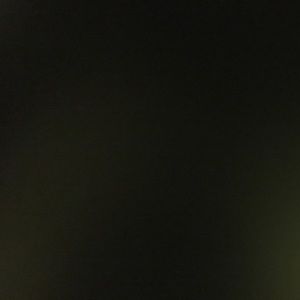 Meet your Posher, Liz