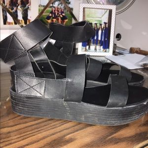 Coconuts platforms platforms !!