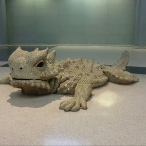 Meet your Posher, Laurie