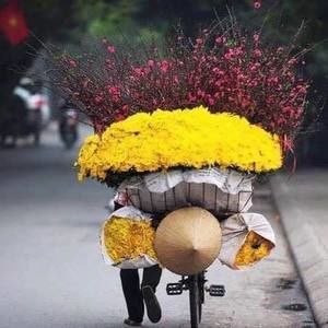 Meet your Posher, Thu