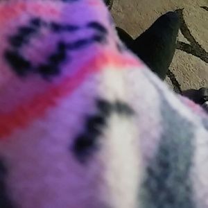 Meet your Posher, Celia