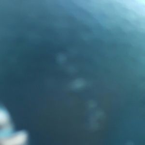 Meet your Posher, Laraysha