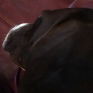 Meet your Posher, Martha