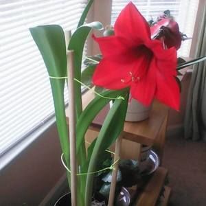 Meet your Posher, Cathy