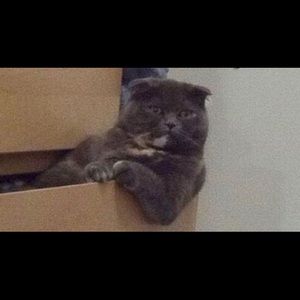 Meet your Posher, Rozee