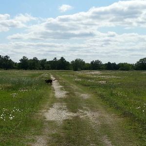 Meet your Posher, Rondalin