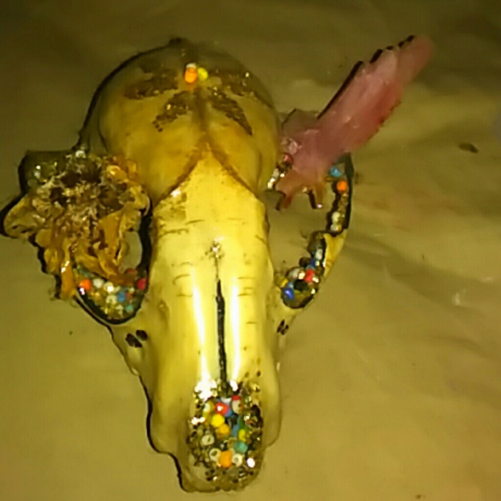 Crystallized raccoon skull