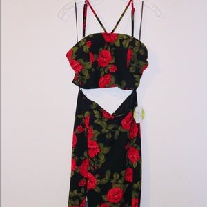 Beautiful Rose Two piece dress