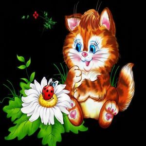 Meet your Posher, Tammy