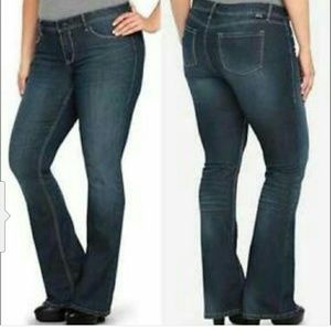 Torrid med wash skinny bootcut