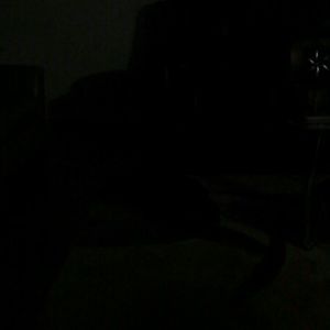 Meet your Posher, Marquetta