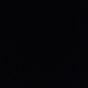 Meet your Posher, Jackson