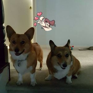 Meet your Posher, Kristina