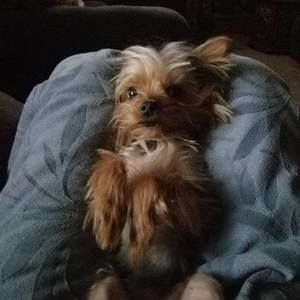 Meet your Posher, Doris