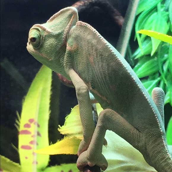 Meet your Posher, Tim - Picture 1 of 1