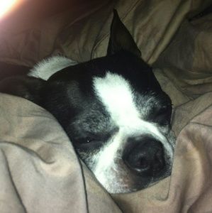 Meet your Posher, Kelli