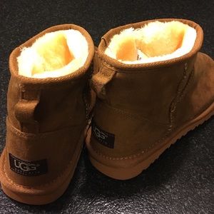 Short Uggs!! Chestnut brown color! Never worn!