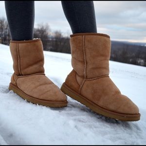Chestnut UGG boots (short)