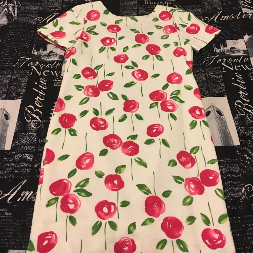Lilly Pulitzer inspired dress!