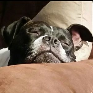 Meet your Posher, Victoria