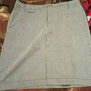 Seersucker Denim Skirt