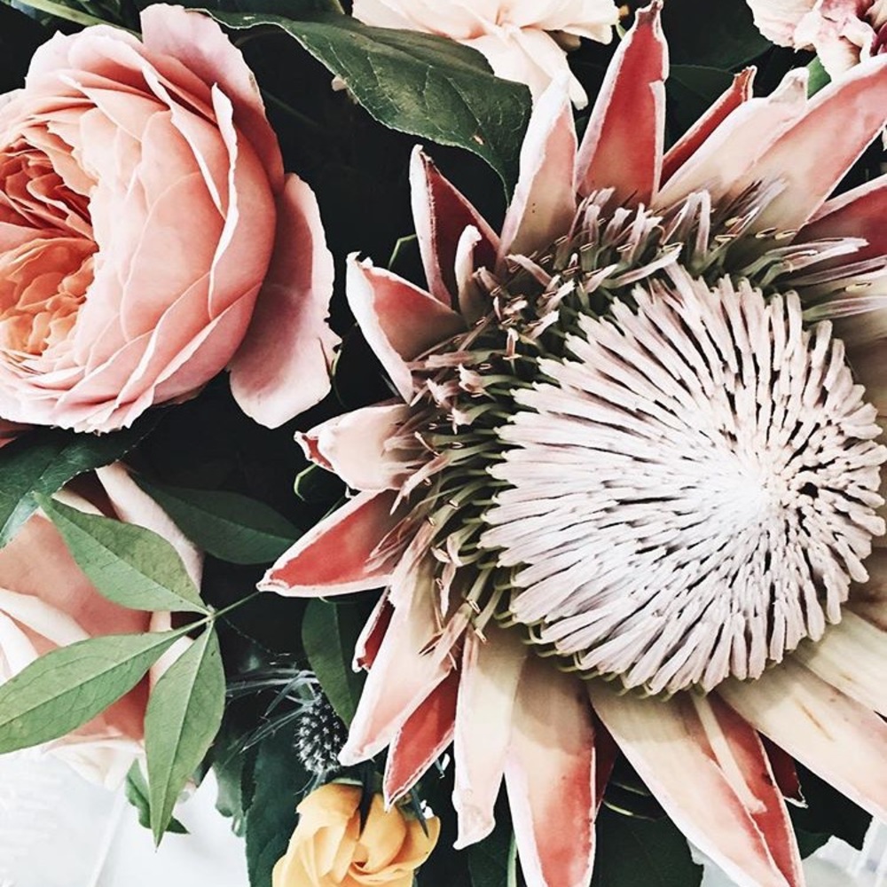 Closet Info | Please Read