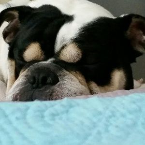 Meet your Posher, Mel