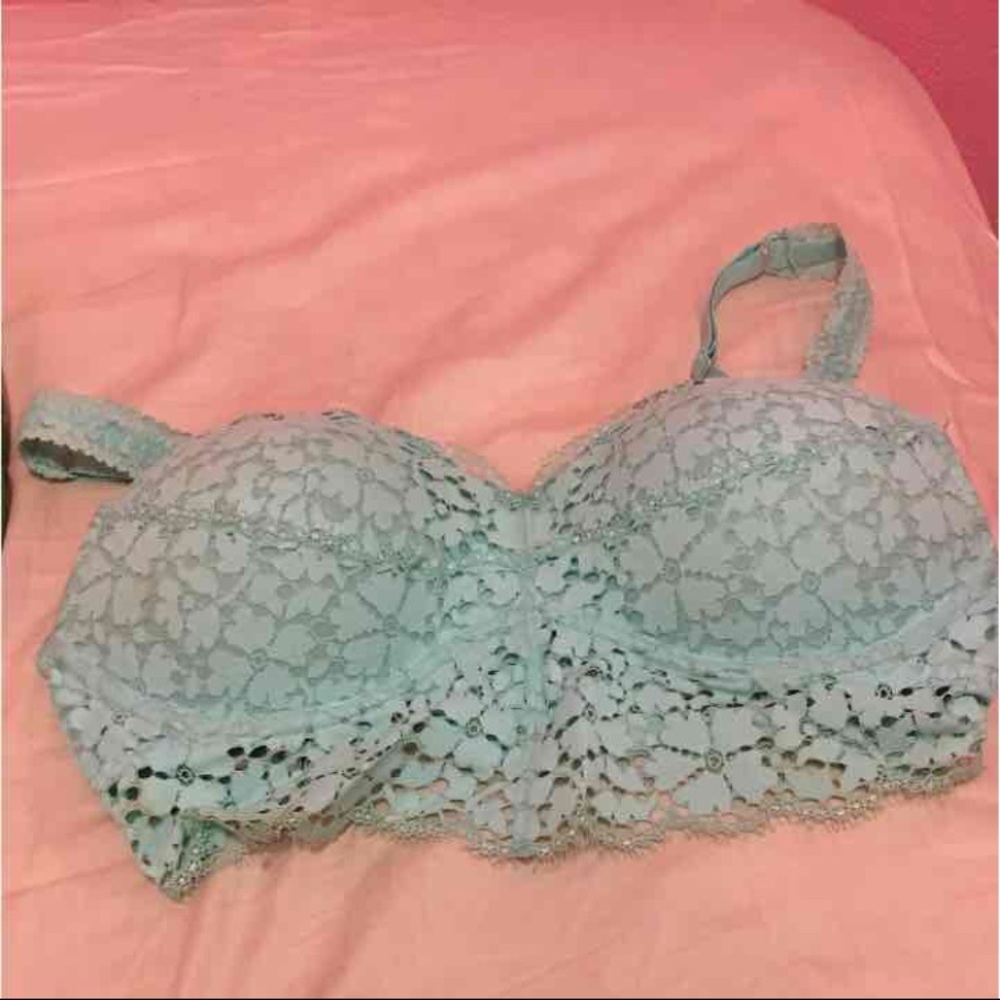 Vs pink blue bralette