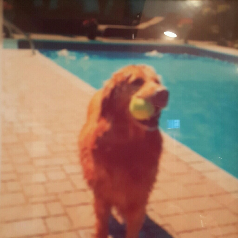 Meet your Posher, Cathy