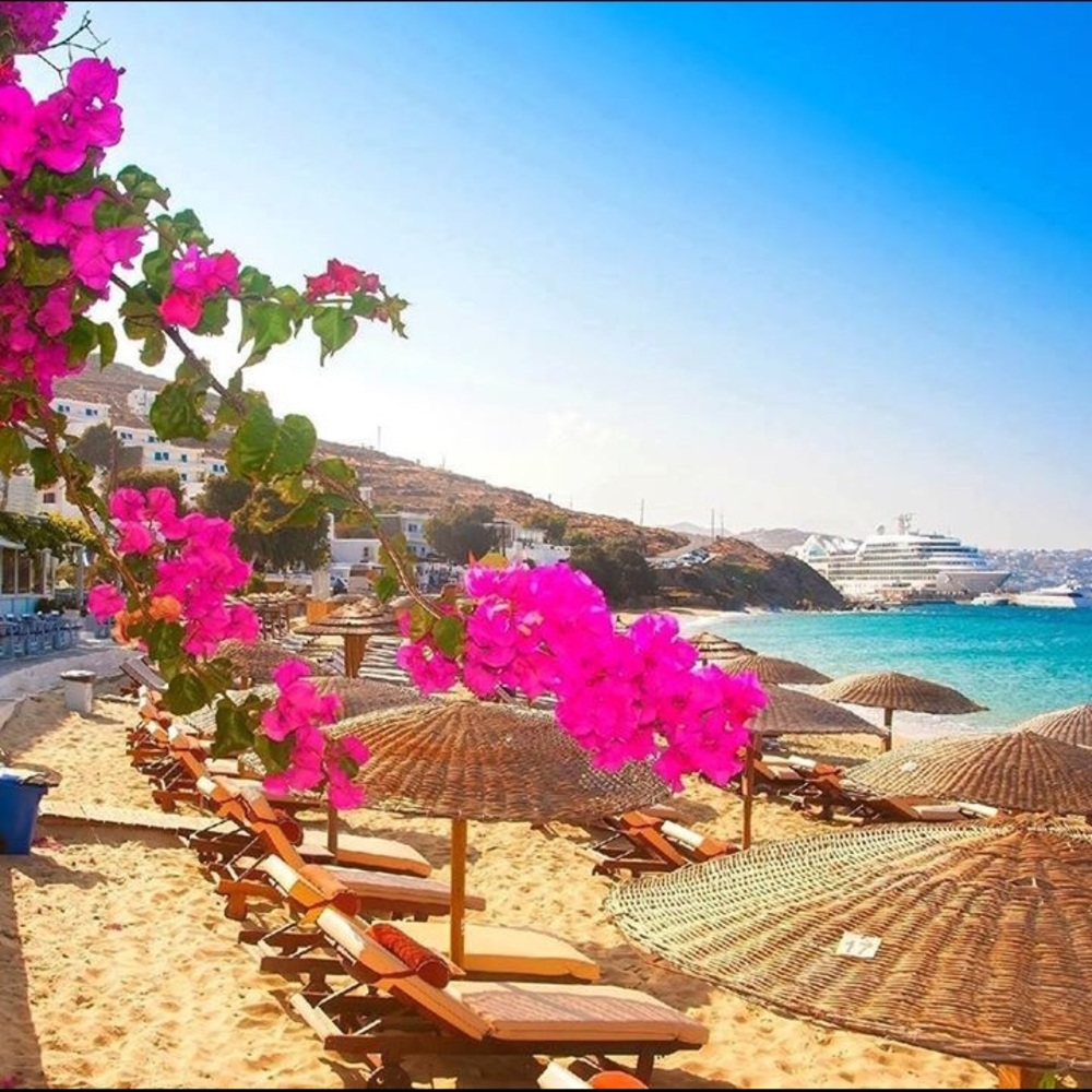 Meet your Posher, Salma