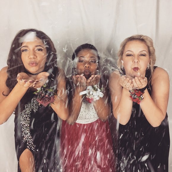 Meet your Posher, Chloe - Picture 1 of 1