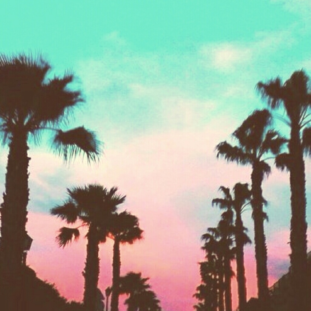 Meet your Posher, Callista