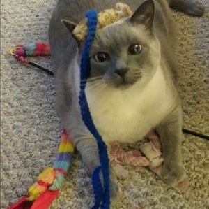 Meet your Posher, Kim