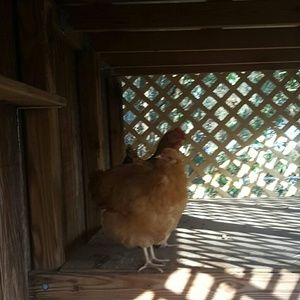 Meet your Posher, April