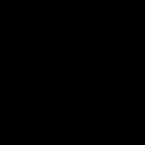 Meet your Posher, Cate