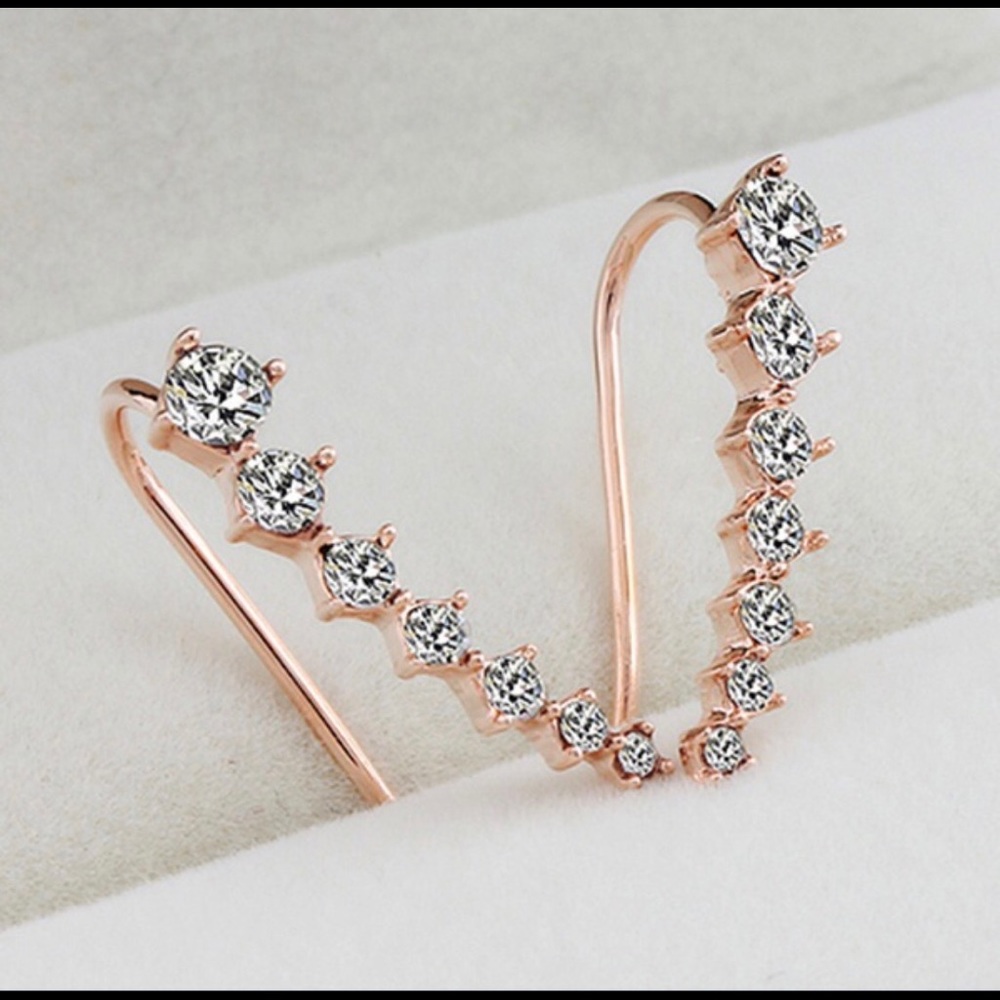 Fashion earrings